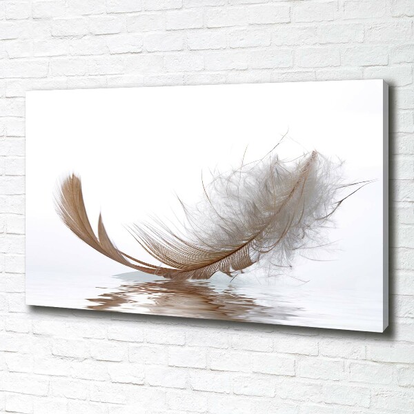 Cuadro canvas con impresión uv duradera horizontal Una pluma en el agua
