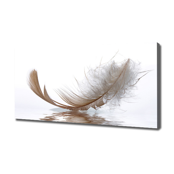 Cuadro canvas con impresión uv duradera horizontal Una pluma en el agua