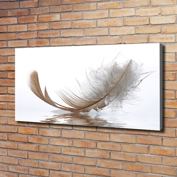 Cuadro canvas con impresión uv duradera horizontal Una pluma en el agua