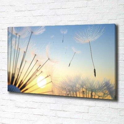 Foto en lienzo con acabado profesional horizontal semillas de diente de león