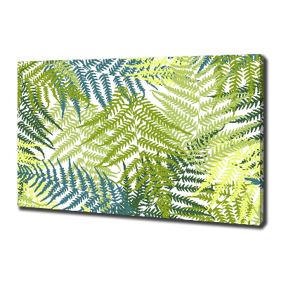 Foto en lienzo con acabado profesional horizontal Patrón de helecho