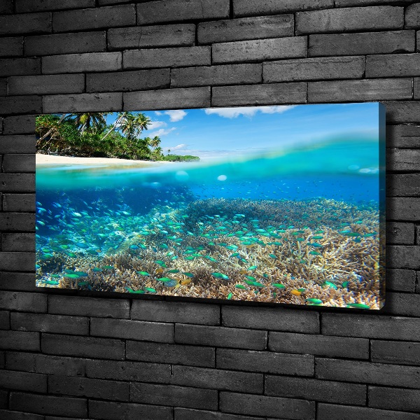 Foto en lienzo con acabado profesional horizontal Arrecife de coral