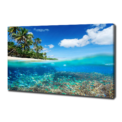 Foto en lienzo con acabado profesional horizontal Arrecife de coral