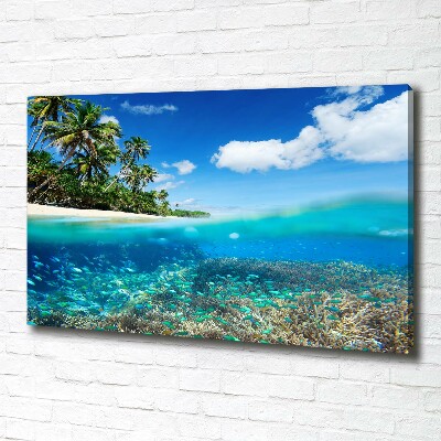 Foto en lienzo con acabado profesional horizontal Arrecife de coral