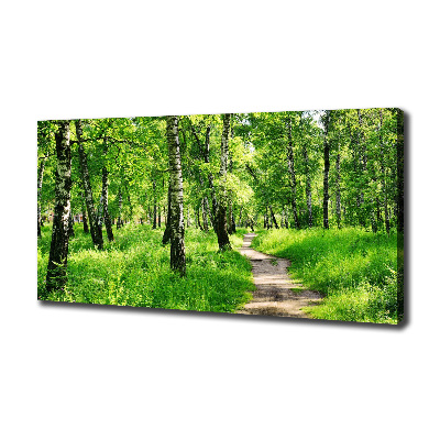 Fotocuadro en lienzo de alta calidad horizontal bosque de abedules