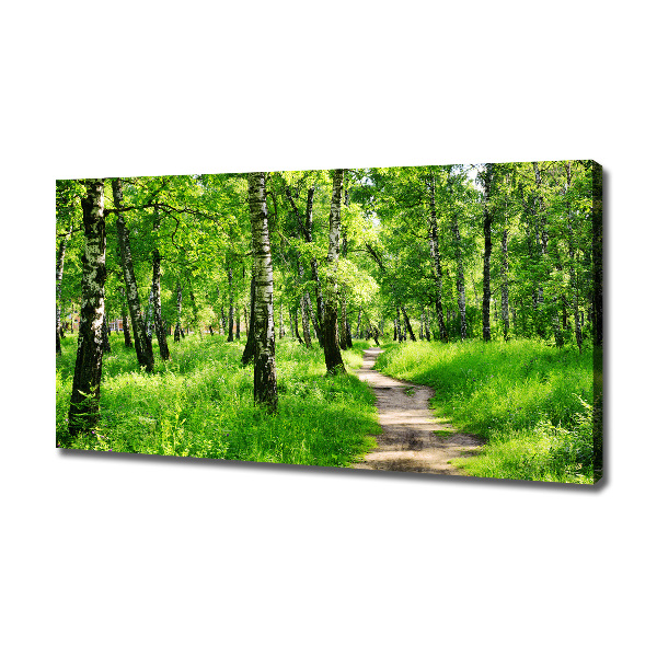 Fotocuadro en lienzo de alta calidad horizontal bosque de abedules