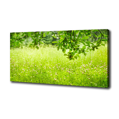 Cuadro canvas con impresión uv duradera horizontal Prado verde