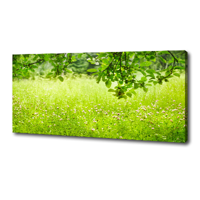 Cuadro canvas con impresión uv duradera horizontal Prado verde