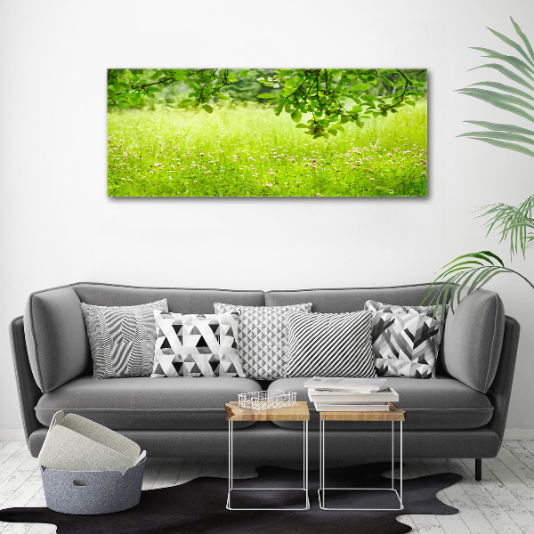 Cuadro canvas con impresión uv duradera horizontal Prado verde