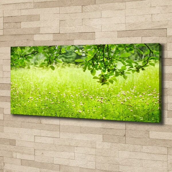 Cuadro canvas con impresión uv duradera horizontal Prado verde