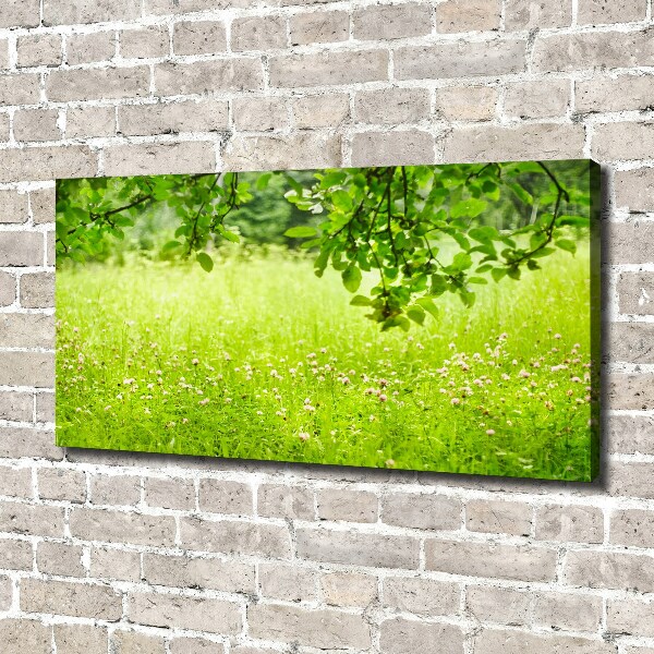 Cuadro canvas con impresión uv duradera horizontal Prado verde