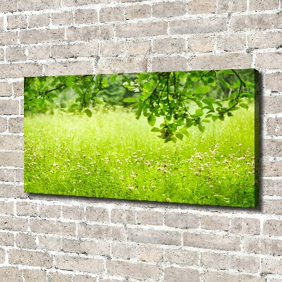 Cuadro canvas con impresión uv duradera horizontal Prado verde