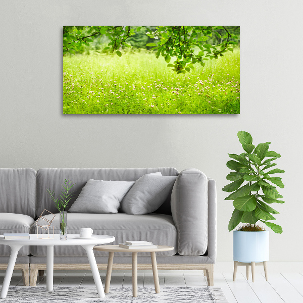 Cuadro canvas con impresión uv duradera horizontal Prado verde