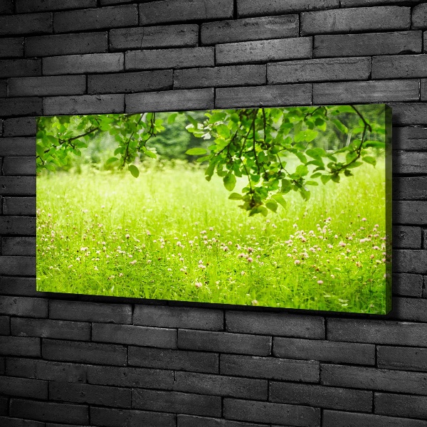 Cuadro canvas con impresión uv duradera horizontal Prado verde