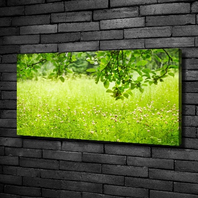 Cuadro canvas con impresión uv duradera horizontal Prado verde