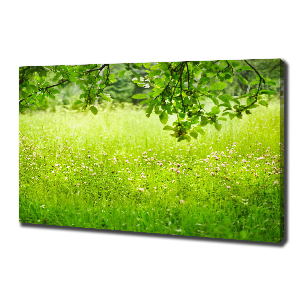 Cuadro canvas con impresión uv duradera horizontal Prado verde
