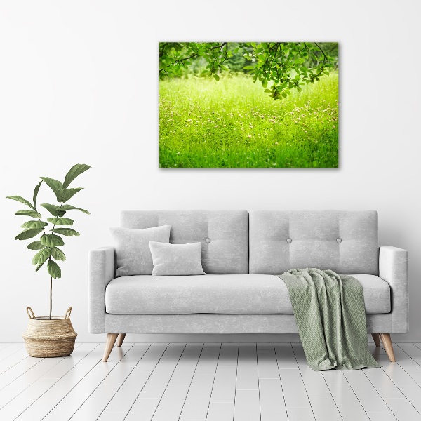 Cuadro canvas con impresión uv duradera horizontal Prado verde