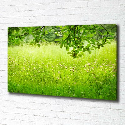 Cuadro canvas con impresión uv duradera horizontal Prado verde