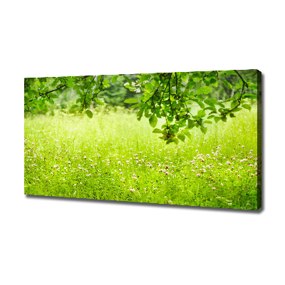 Cuadro canvas con impresión uv duradera horizontal Prado verde