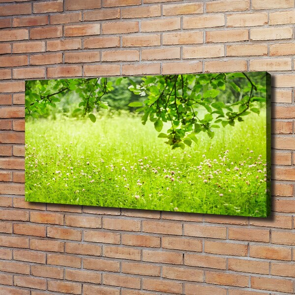 Cuadro canvas con impresión uv duradera horizontal Prado verde