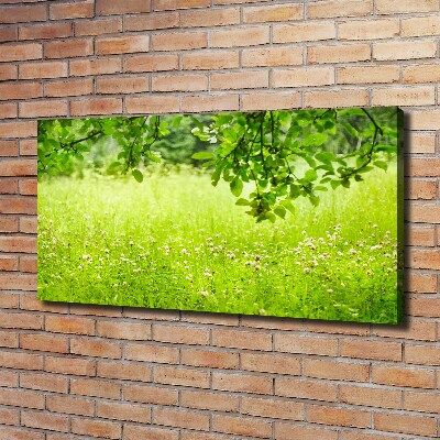 Cuadro canvas con impresión uv duradera horizontal Prado verde