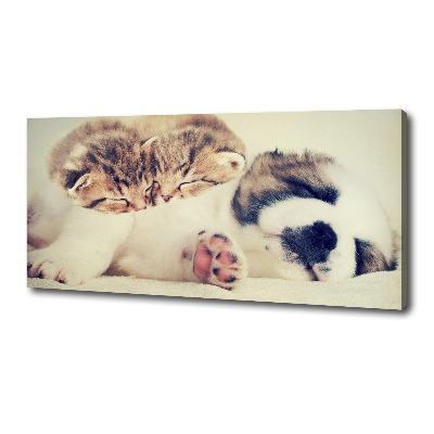 Fotocuadro en lienzo de alta calidad horizontal Dos gatos y un perro