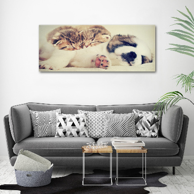 Fotocuadro en lienzo de alta calidad horizontal Dos gatos y un perro