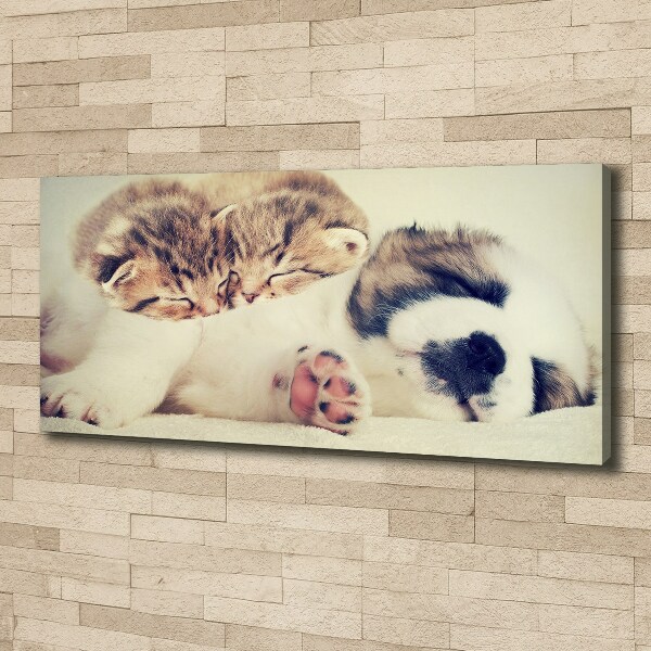 Fotocuadro en lienzo de alta calidad horizontal Dos gatos y un perro
