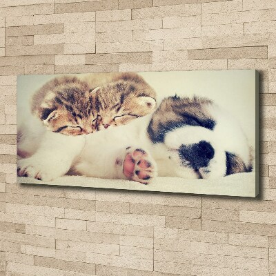 Fotocuadro en lienzo de alta calidad horizontal Dos gatos y un perro