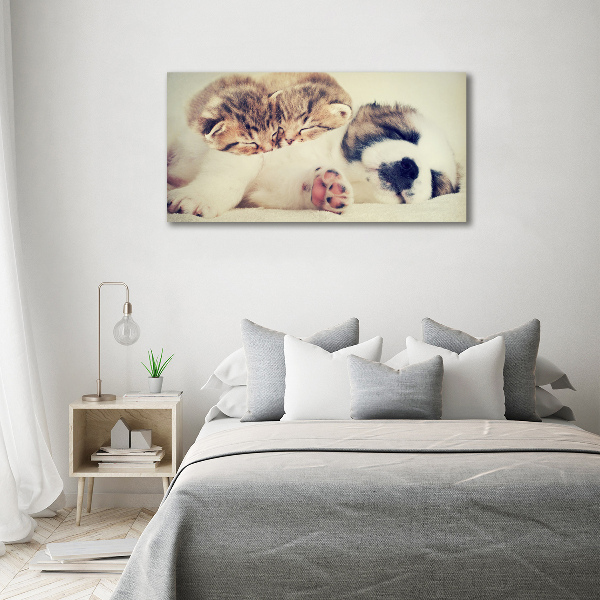 Fotocuadro en lienzo de alta calidad horizontal Dos gatos y un perro
