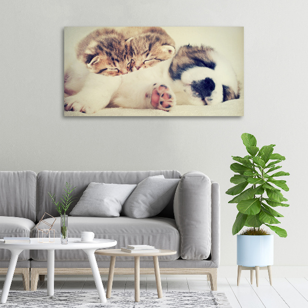 Fotocuadro en lienzo de alta calidad horizontal Dos gatos y un perro