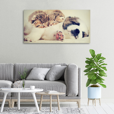 Fotocuadro en lienzo de alta calidad horizontal Dos gatos y un perro