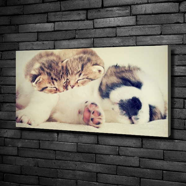 Fotocuadro en lienzo de alta calidad horizontal Dos gatos y un perro