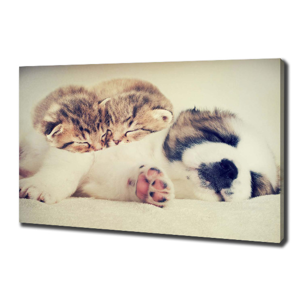 Fotocuadro en lienzo de alta calidad horizontal Dos gatos y un perro