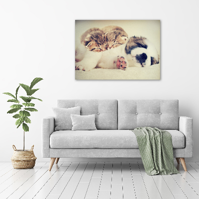 Fotocuadro en lienzo de alta calidad horizontal Dos gatos y un perro