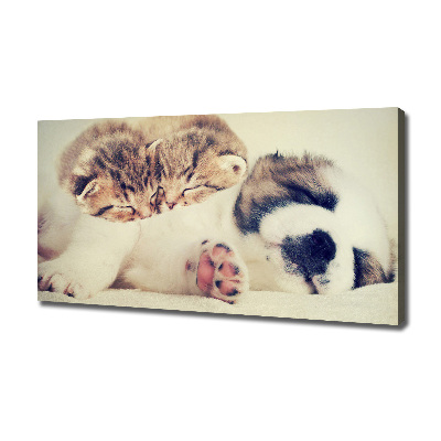 Fotocuadro en lienzo de alta calidad horizontal Dos gatos y un perro