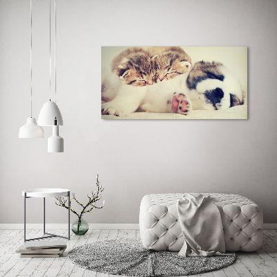 Fotocuadro en lienzo de alta calidad horizontal Dos gatos y un perro