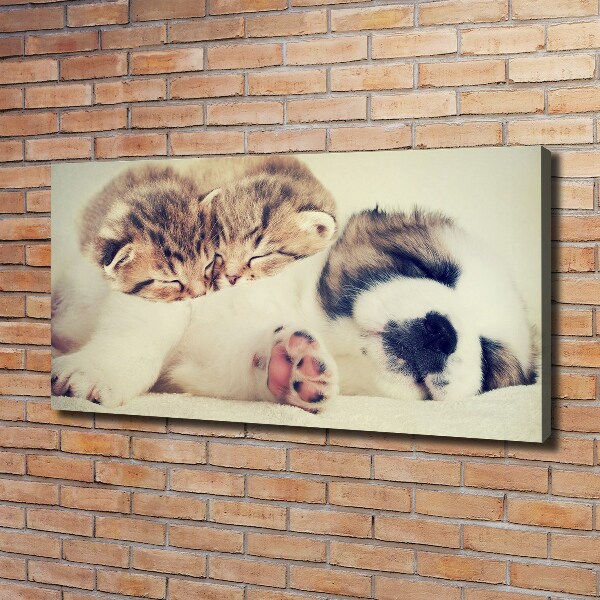 Fotocuadro en lienzo de alta calidad horizontal Dos gatos y un perro
