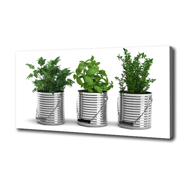 Fotocuadro en lienzo de alta calidad horizontal Plantas aromáticas