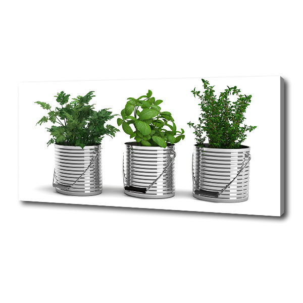 Fotocuadro en lienzo de alta calidad horizontal Plantas aromáticas