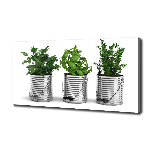 Fotocuadro en lienzo de alta calidad horizontal Plantas aromáticas