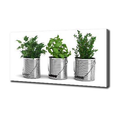 Fotocuadro en lienzo de alta calidad horizontal Plantas aromáticas
