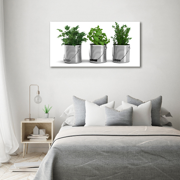 Fotocuadro en lienzo de alta calidad horizontal Plantas aromáticas