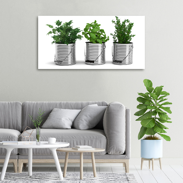 Fotocuadro en lienzo de alta calidad horizontal Plantas aromáticas