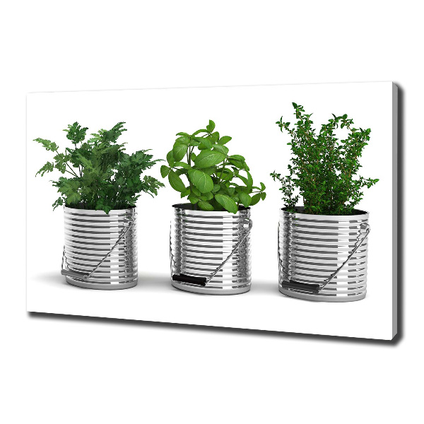 Fotocuadro en lienzo de alta calidad horizontal Plantas aromáticas