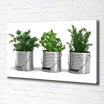 Fotocuadro en lienzo de alta calidad horizontal Plantas aromáticas