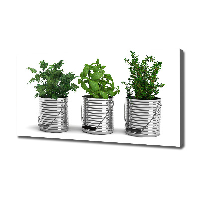 Fotocuadro en lienzo de alta calidad horizontal Plantas aromáticas