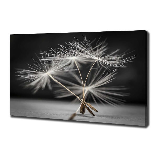 Cuadro canvas moderno de gran formato horizontal semillas de diente de león