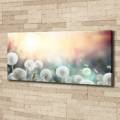 Cuadro canvas moderno de gran formato horizontal Campo de dientes de león