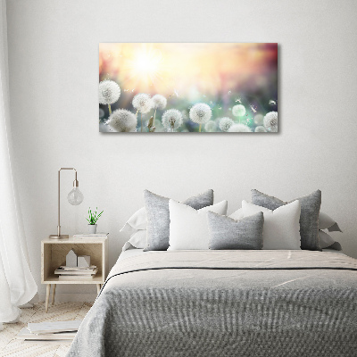 Cuadro canvas moderno de gran formato horizontal Campo de dientes de león